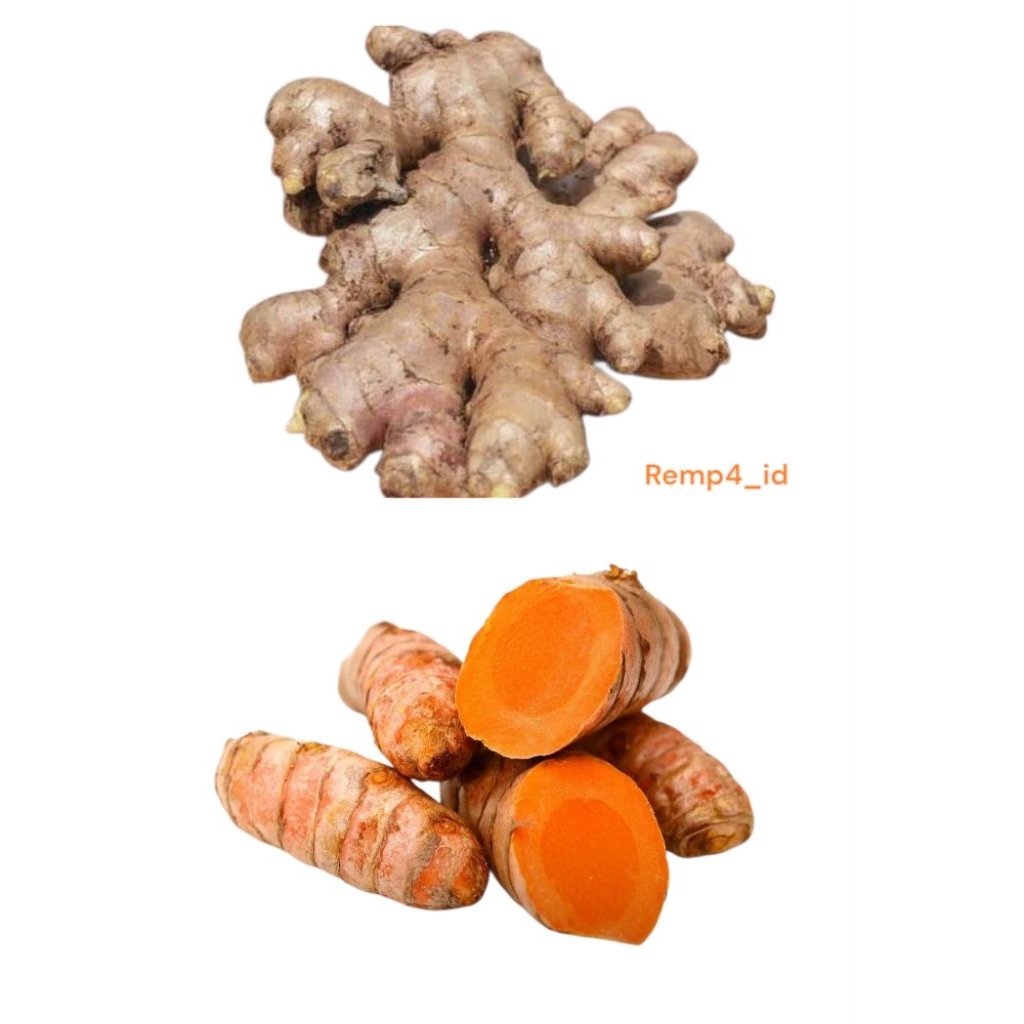 

paket hemat 1kg jahe dan kunyit