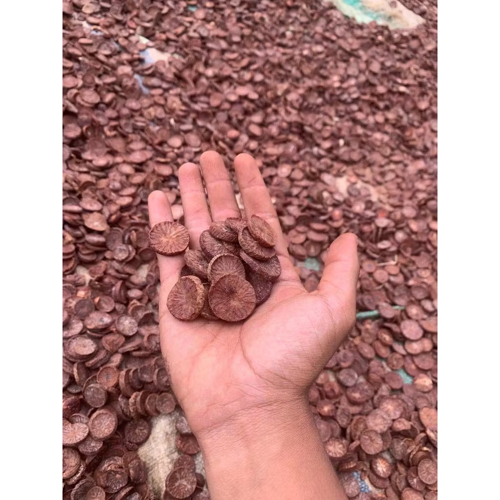 

Pinang Muda Iris Kering Areca catechu Preminum High Qualitas Tradisional Herbal
