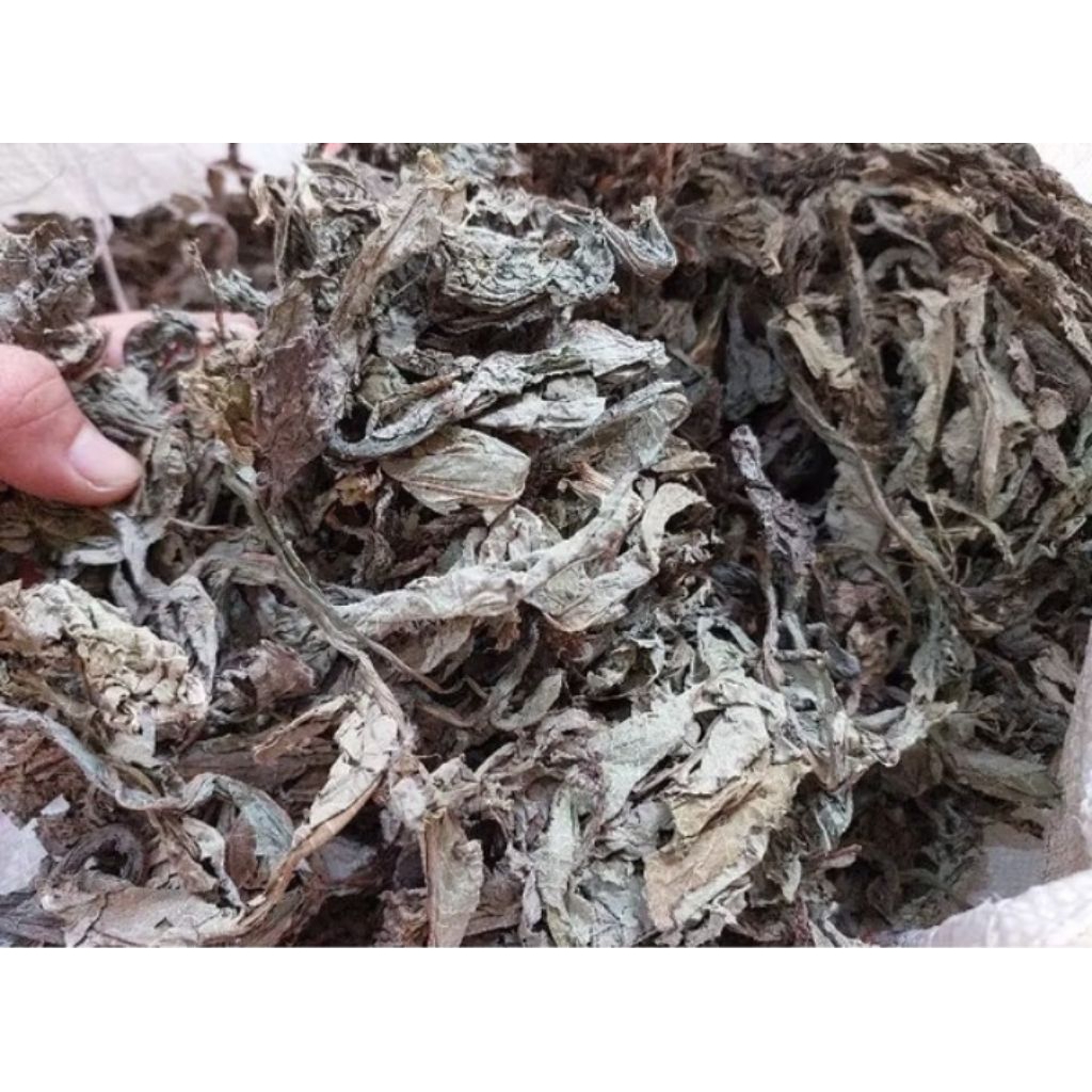 

daun tempuyung kering 500gr/daun tempuyung bubuk murni organik