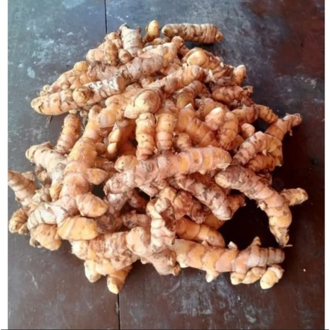 

1 Kg Kunyit Segar / 500 gram kunyit bumbu