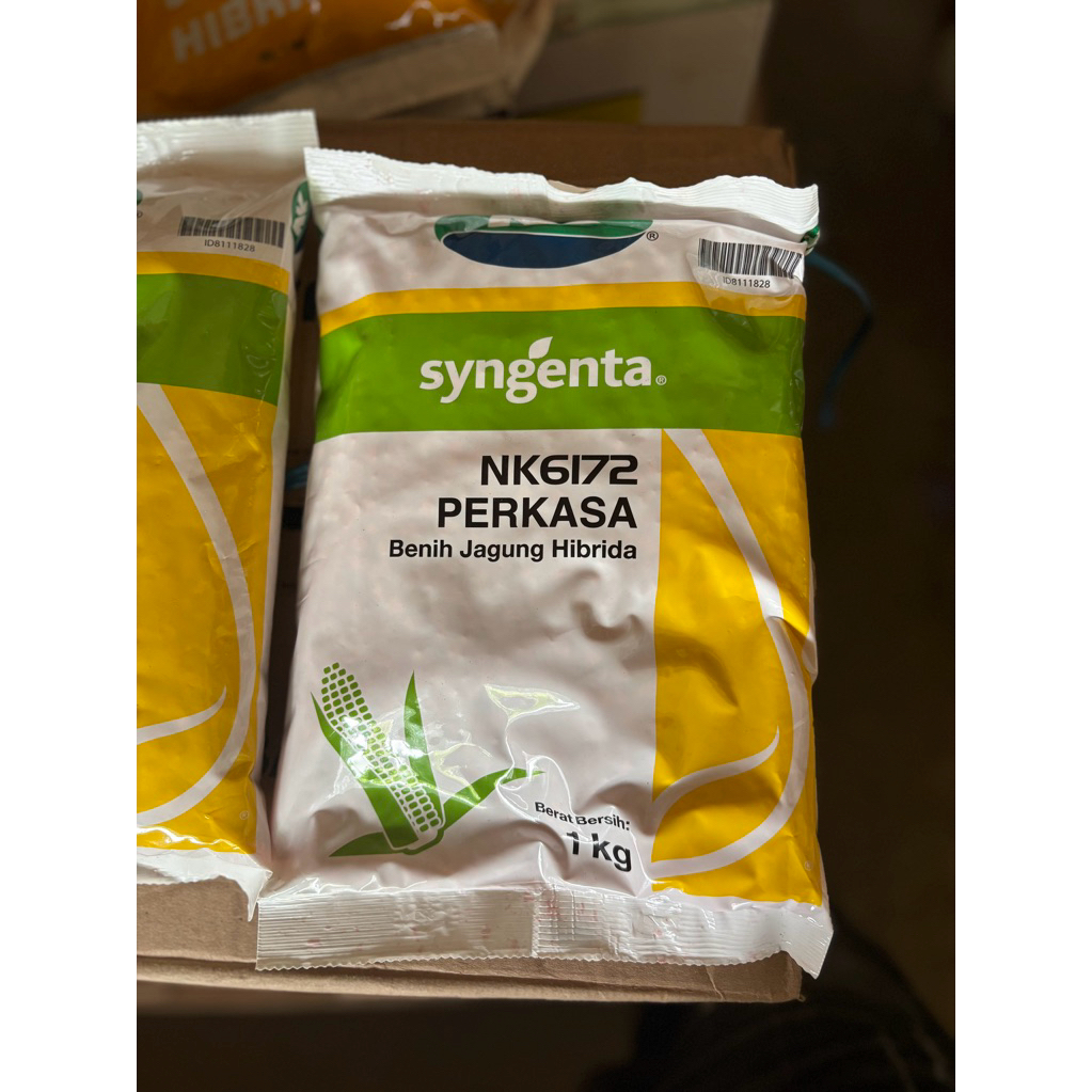 benih jagung hibrida NK PERKASA