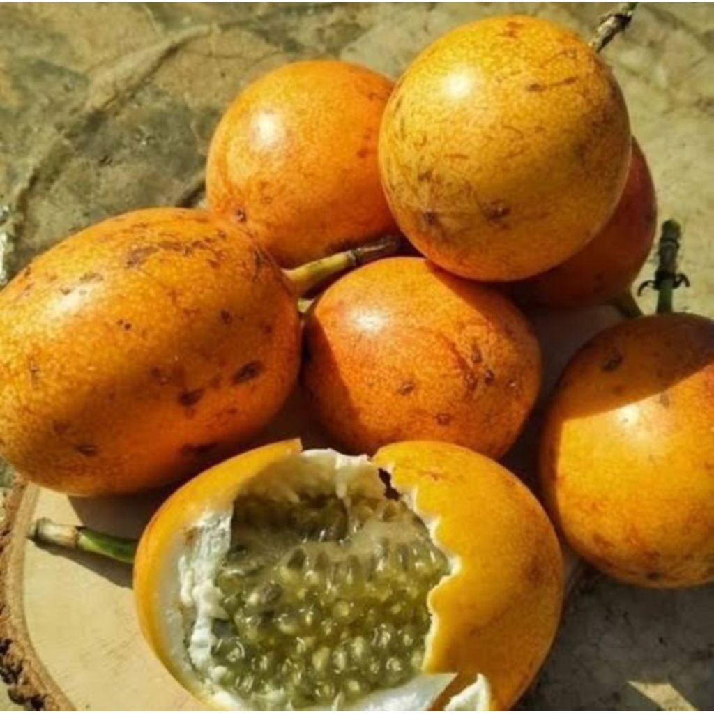 

Buah Markisa Super / Buah Markisa Manis / 1 Kg