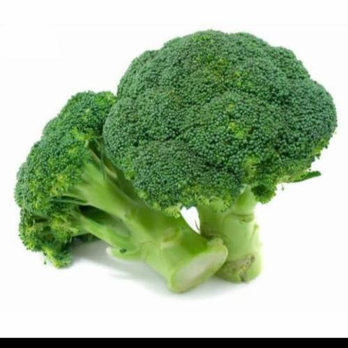 

Brokoli Hijau Fresh - Brokoli Hijau Murah Berkualitas - Brokoli Hijau Terdekat