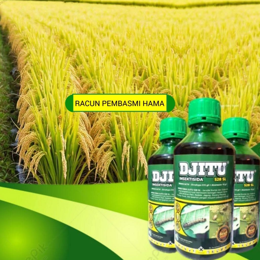 INSEKTISIDA JITU 528 SL 1LITER ampuh dan DJITU pembasmi hama pada tanaman