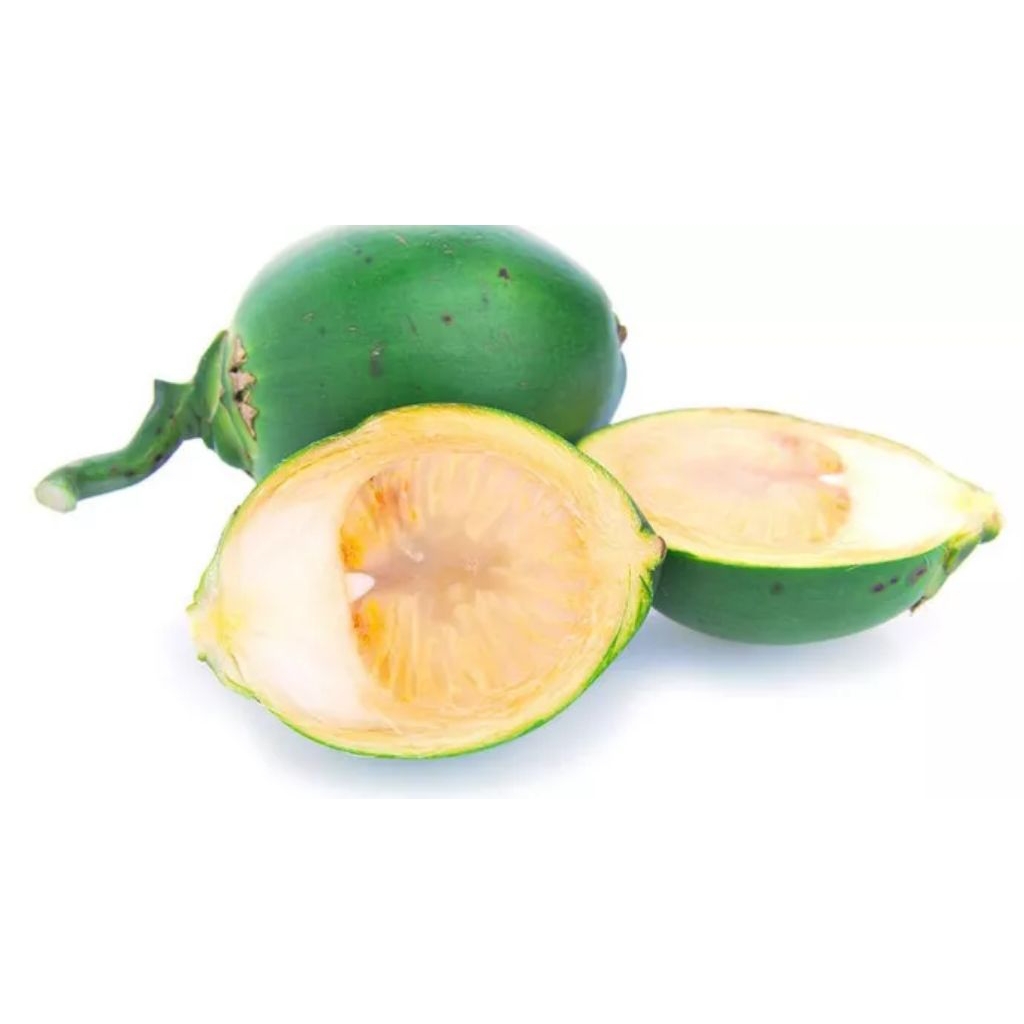 

Buah pinang muda perpcs/perbutir untuk stamina pria