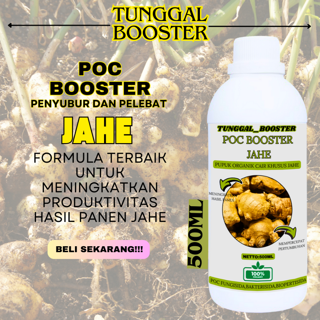POC Pupuk Organik Cair Tanaman Jahe/Booster organik Cair Pelebat dan Penyubur Jahe/Pupuk Melebatkan 