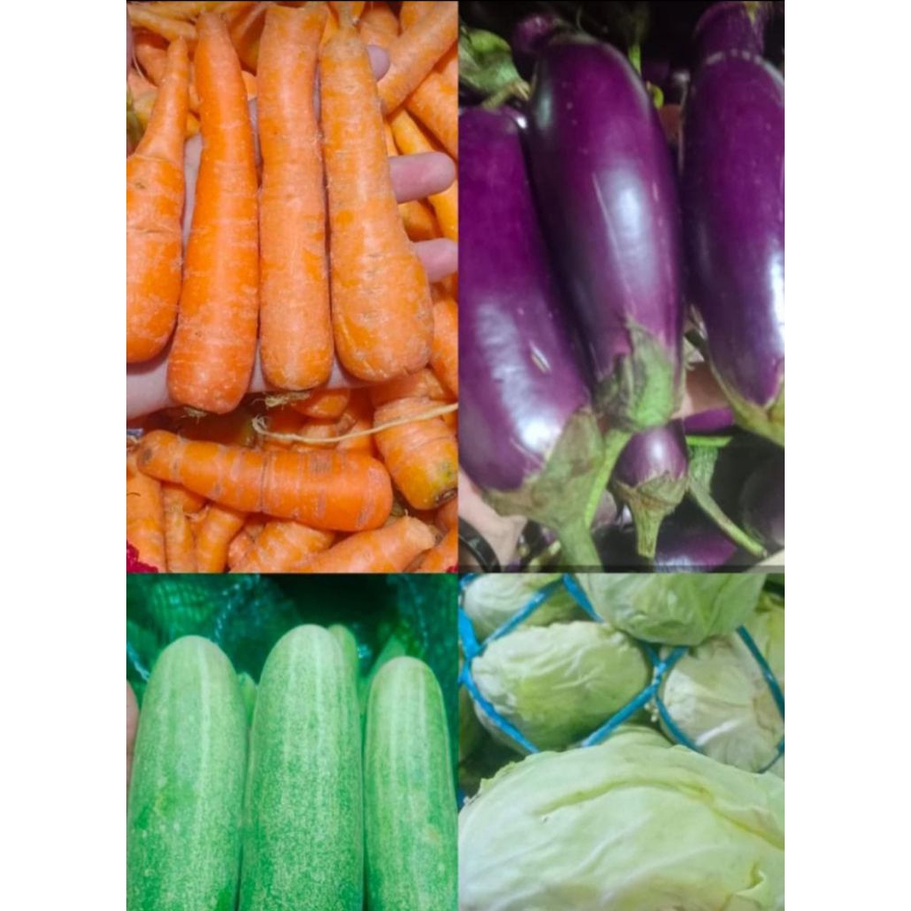 

sayuran segar netto 3kg mix bisa campur