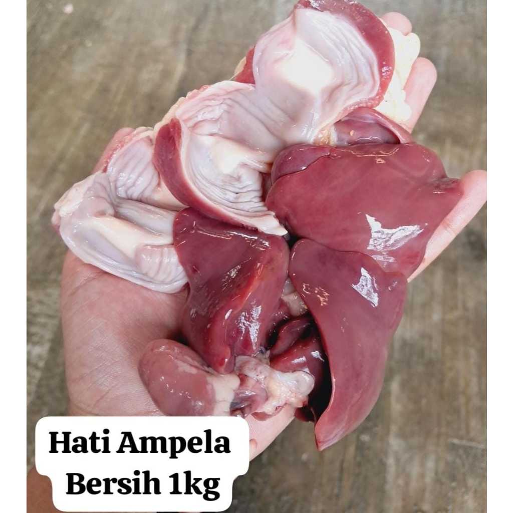 

hati, jantung, ampela bersih (HJA bersih) 1kg