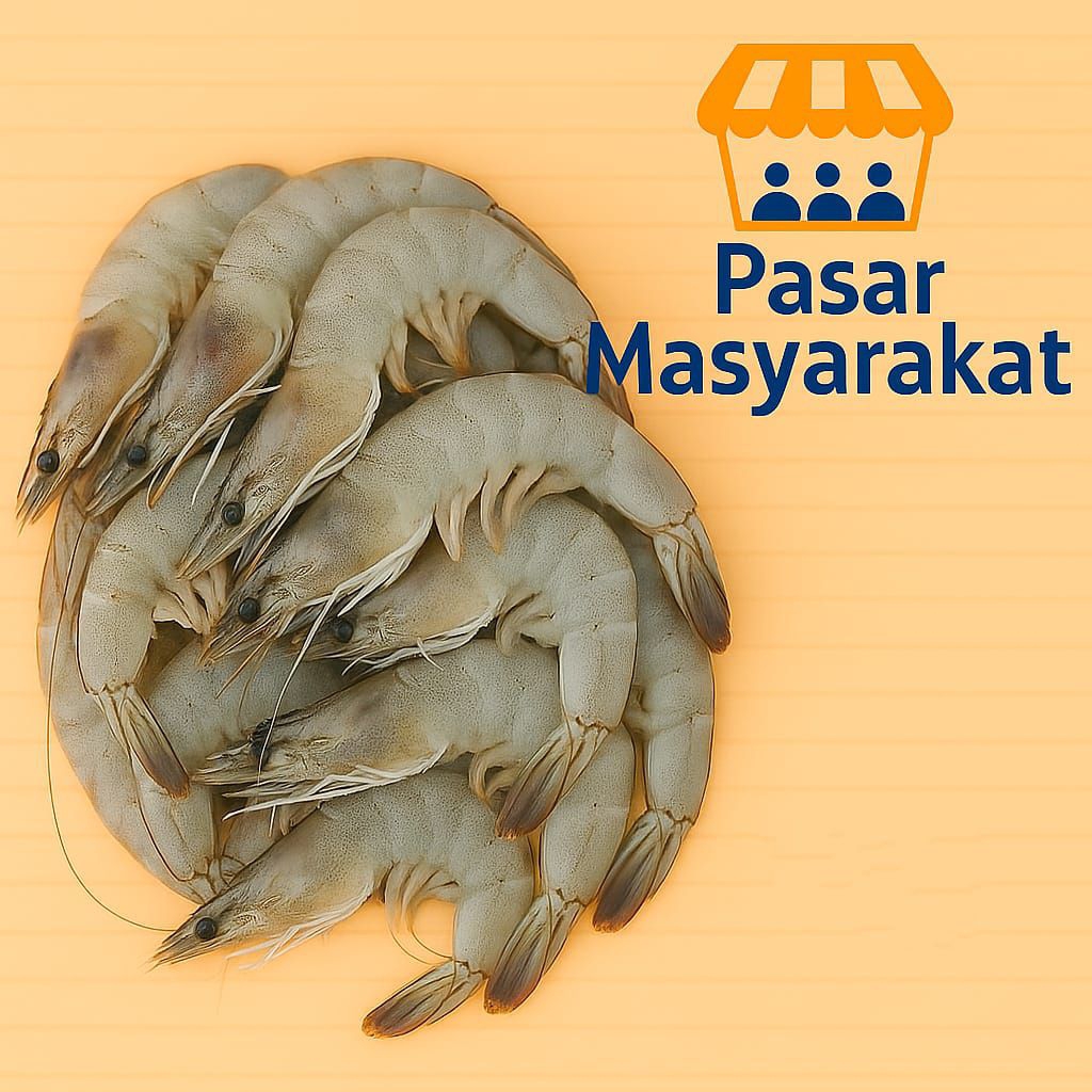 

Udang Segar Pasar.Masyarakat