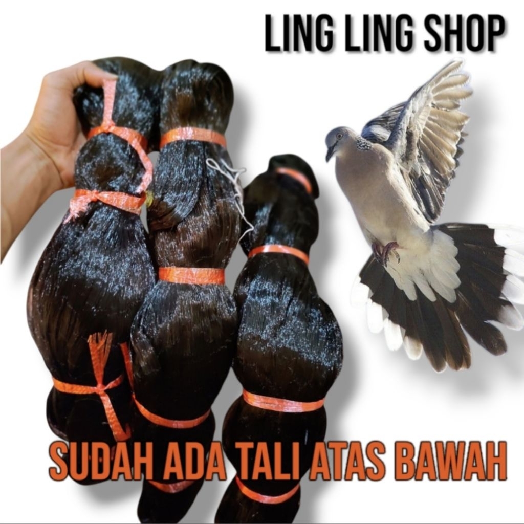 JARING BURUNG PERKUTUT PANJANG 50 METER X 2 METER UNTUK BURUNG PERKUTUT