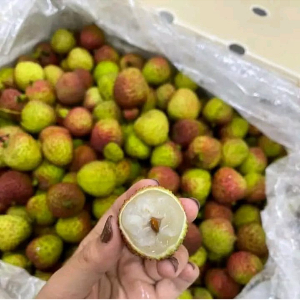 

lychee madu leci segar buah leci madu