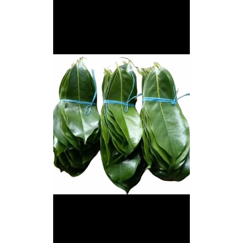 

daun sirsak / sirsak ber lembar isi 100 lembar