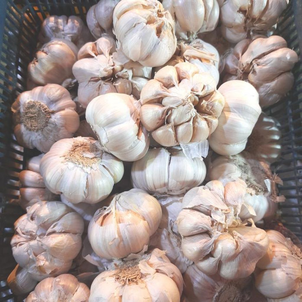 

BAWANG PUTIH ½KG /SUPERAN/LOKAL