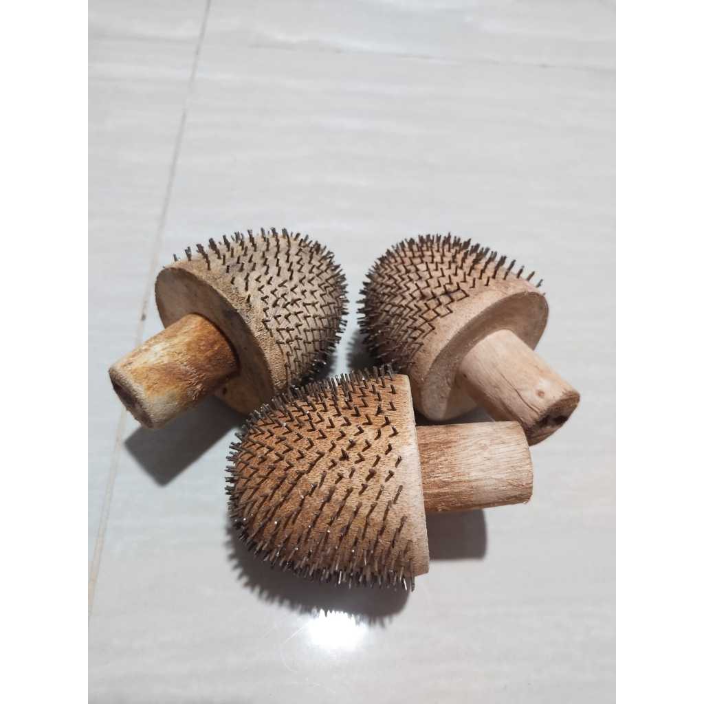 MATA KUKURAN KELAPA KAYU/ KUKURAN MATA KELAPA BIASA