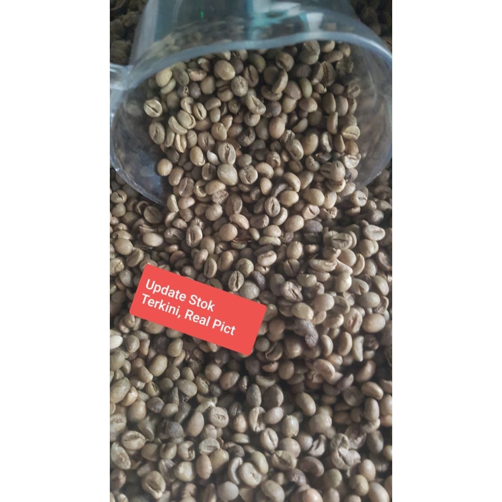 

Green Bean Robusta Purbalingga 1Kg [Kaki Gunung Slamet] Update Real Pict Stok