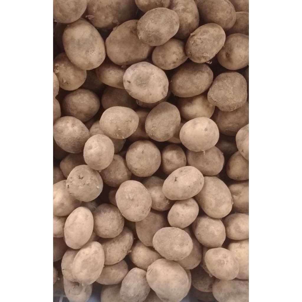 

Kentang lokal nettoo @1kg