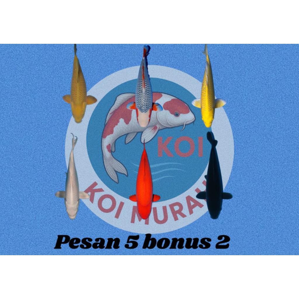 Hiasan aquarium yamabuki ogon grade a+