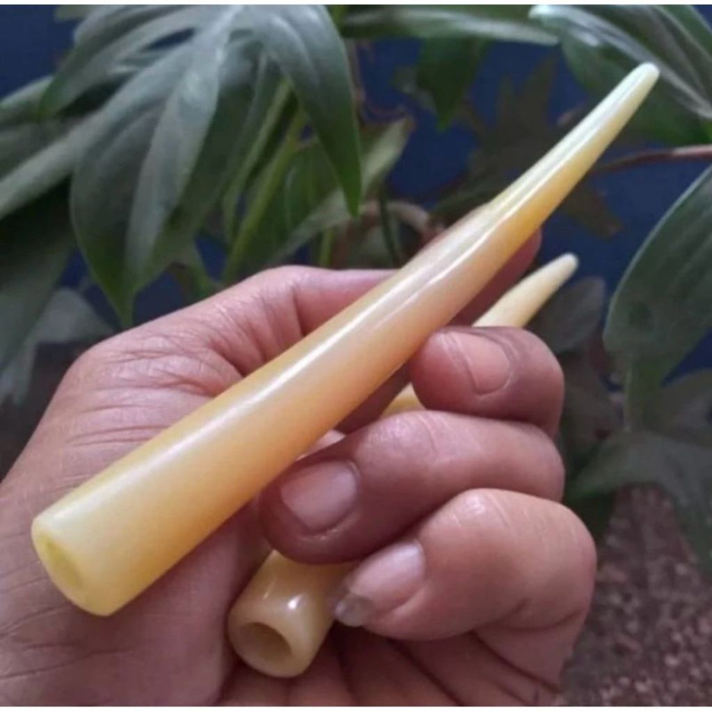 once pipa tulang sapi super panjang 8,9