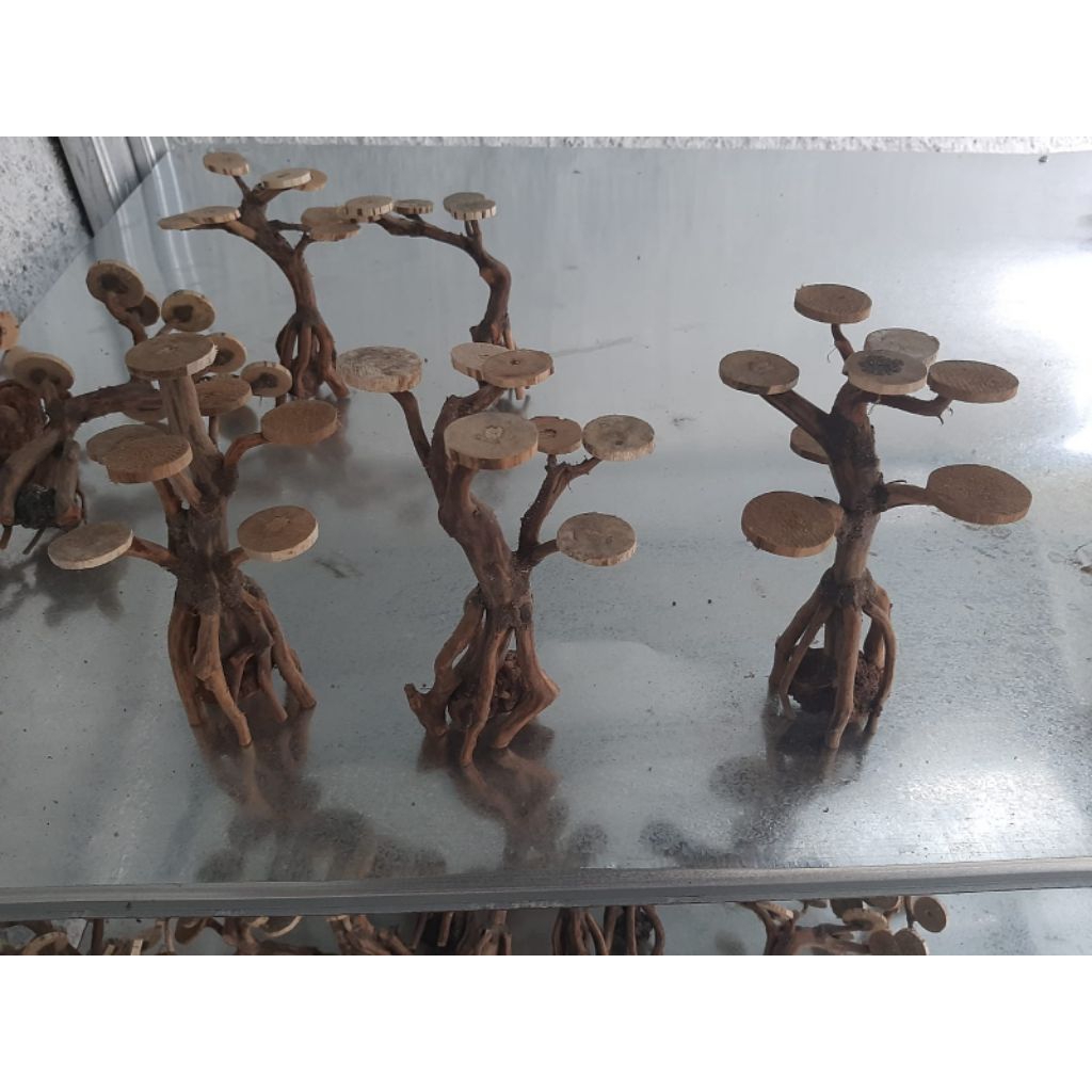 miniatur bonsai mini