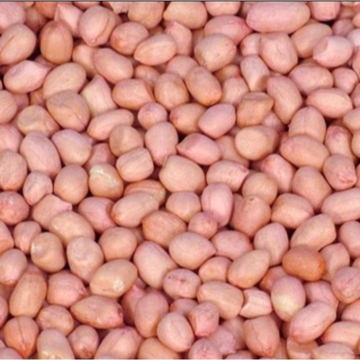 

Kacang tanah 250 g (250gram), kacang tanah mentah