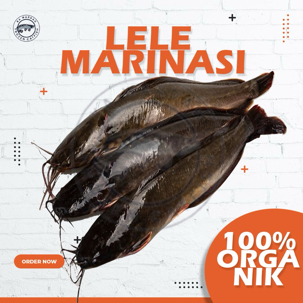

Ikan Lele Praktis Tinggal Goreng Isi 5-6 Lele Organik