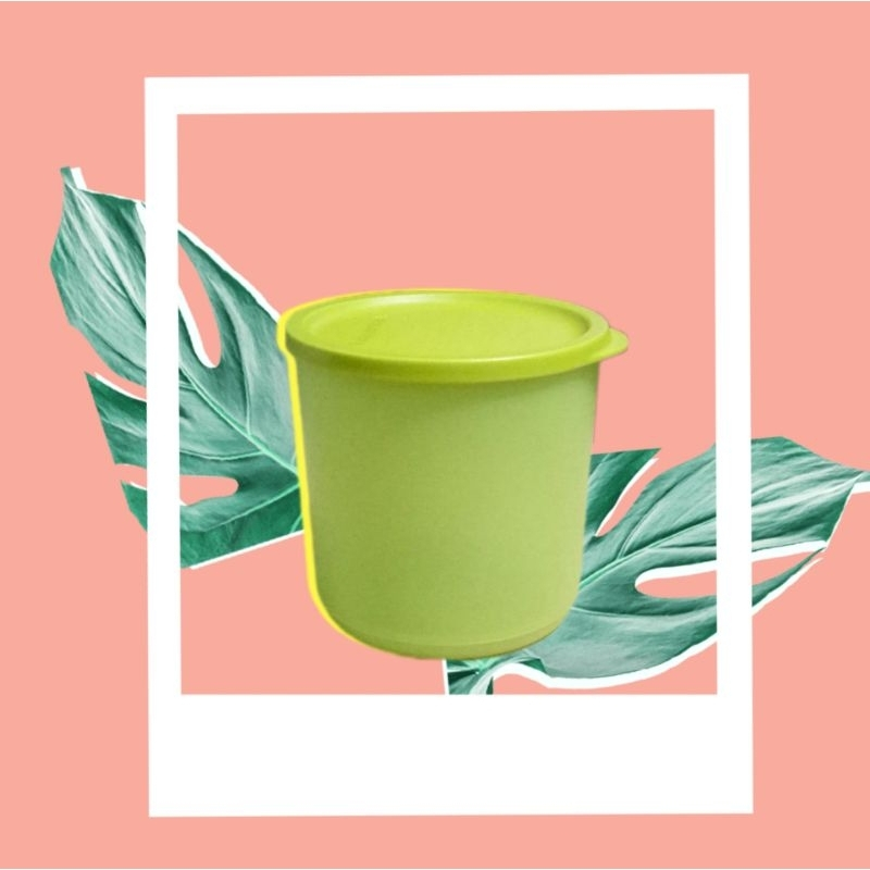 tropical round eceran satu pcs produk ori