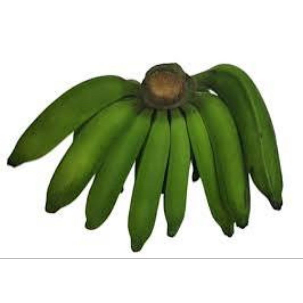 

PISANG RAJA NANGKA (1KG) ASLI LERENG MURIA