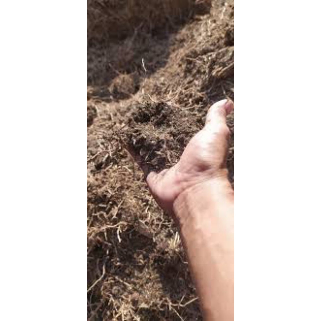 Media Tanam Humus Akar Bambu