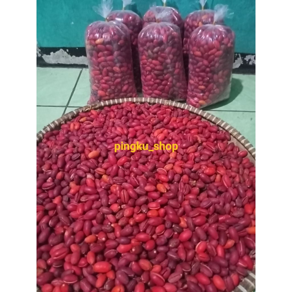 

PROMO 1KG Kulit Melinjo (Tangkil) Fresh Berkualitas