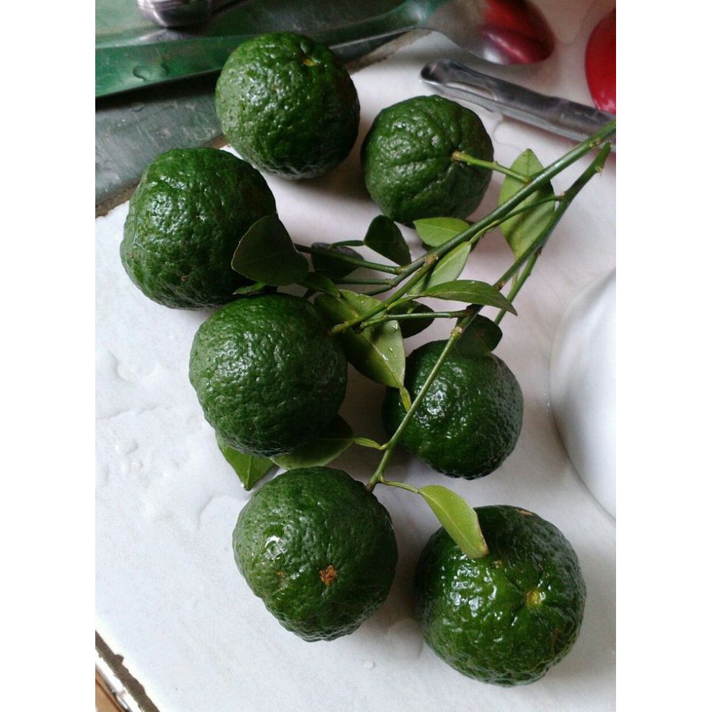 

Jeruk Limau Fresh Segar Jeruk Limau Fresh 1 KG Super Murah Berkualitas Unggul