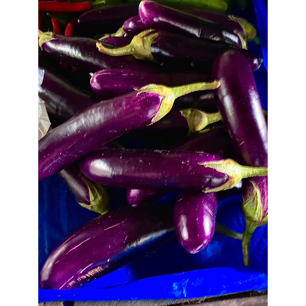 

Terong ungu 250g
