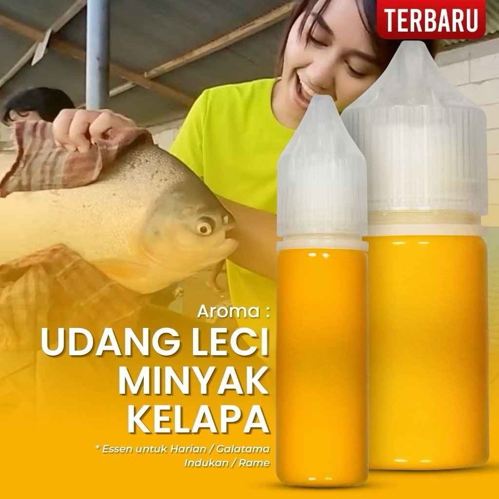 Essen Ikan Bawal Aroma Udang Leci Minyak Kelapa untuk Galatama Harian Indukan Rame