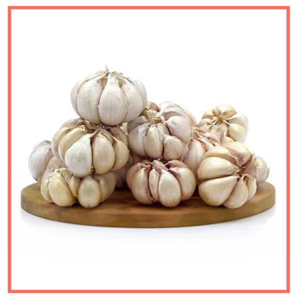 

Mbakolamis. Bawang Putih 1 Kg | Bawang Putih Fresh