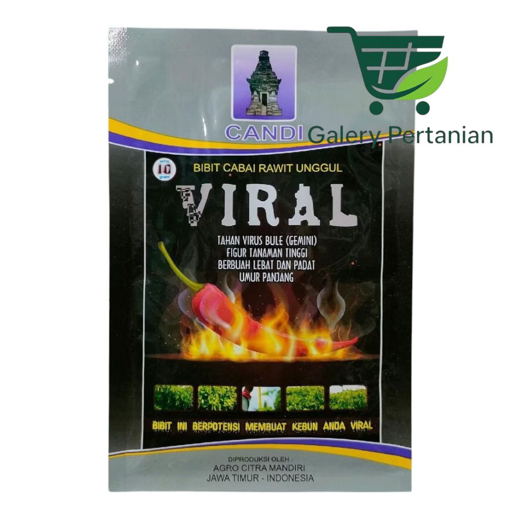 Bibit Cabe Rawit VIRAL Cap Candi 10gr – Hasil 0.6-0.7kg/Tanaman, Cocok Dataran Tinggi