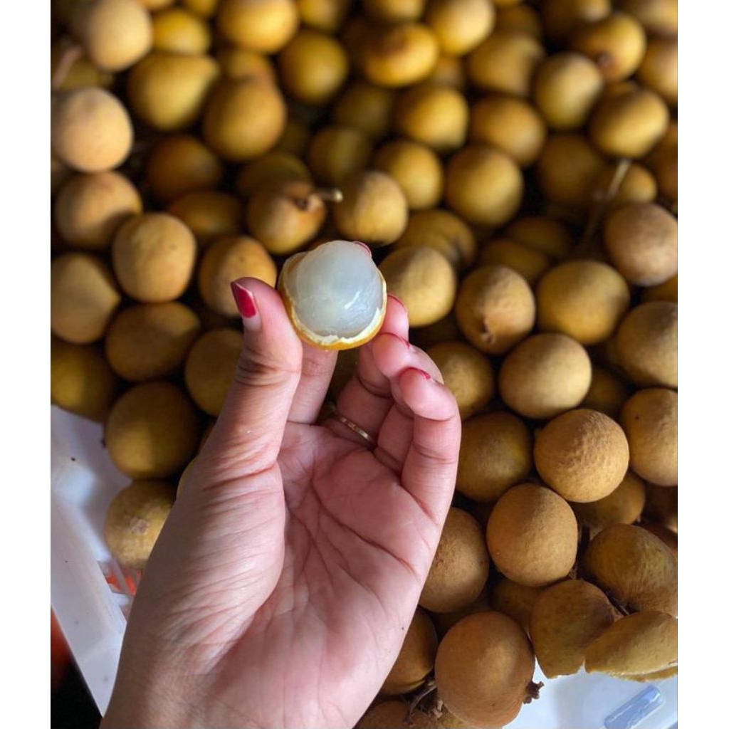 

KELENGKENG SUPER 1KG