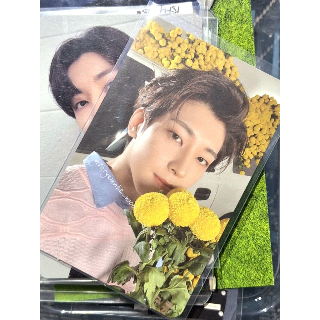 Photocard Wonwoo Seventeen your choice yc bunga, pc wonwoo hd seventeen wonu