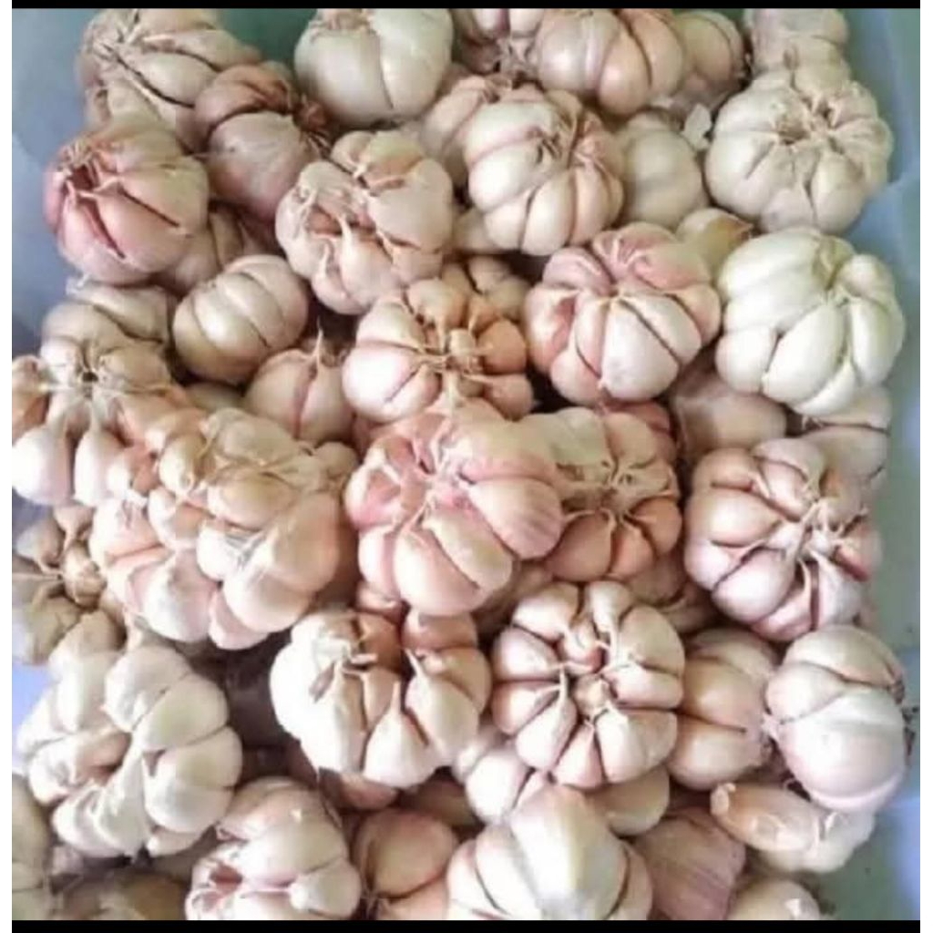 

BAWANG PUTIH BERAT 500GR , 1000GR HARGA TERMURAH