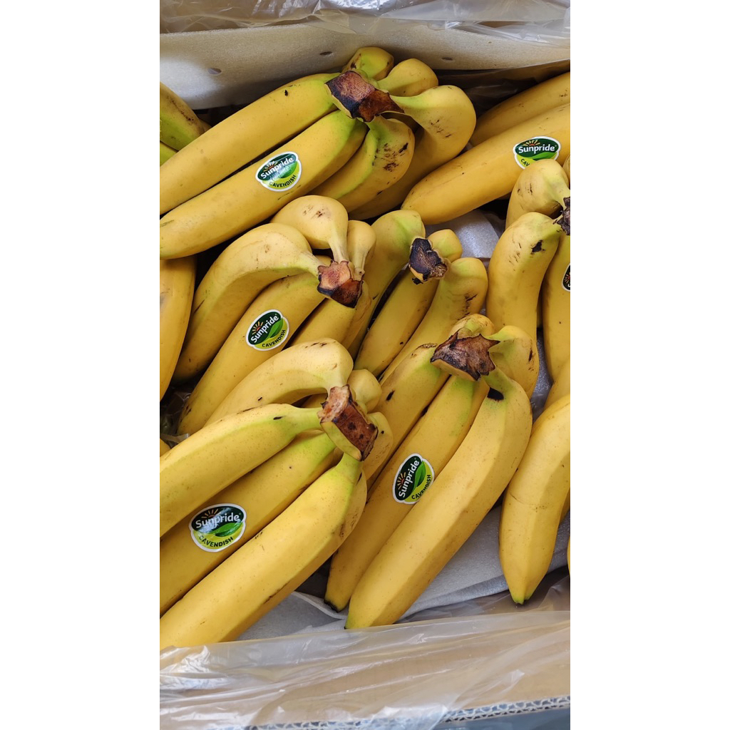 

PISANG CAVENDISH SUNPRIDE