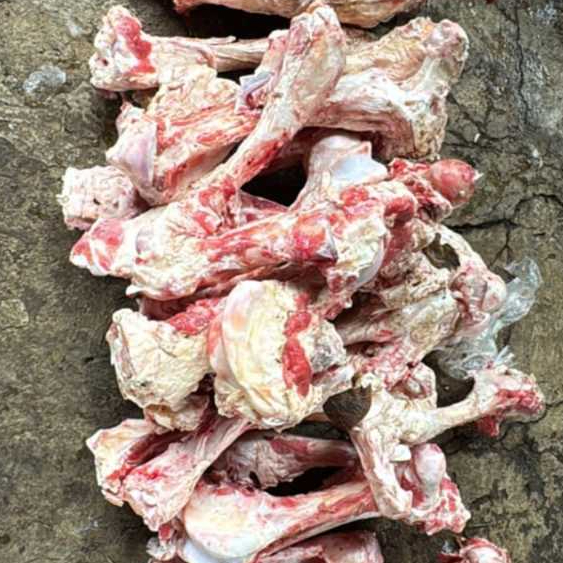 

Tulang Sumsum / Bone Marrow / Tulang Sumsum Sapi