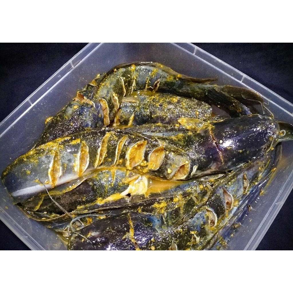 

Lele Marinasi Frozen