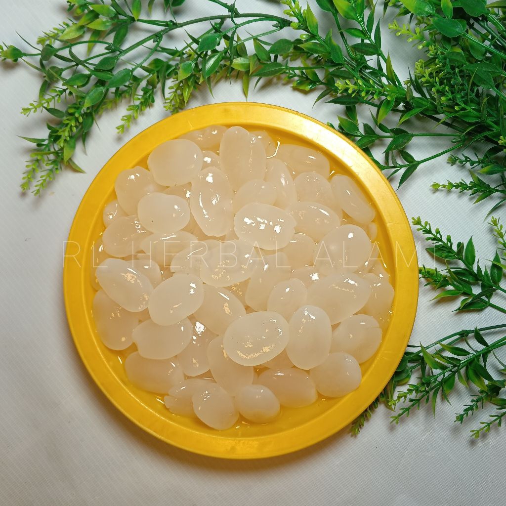 

Buah kulang Kaling fresh,atau buah pohon aren muda - 1 kg