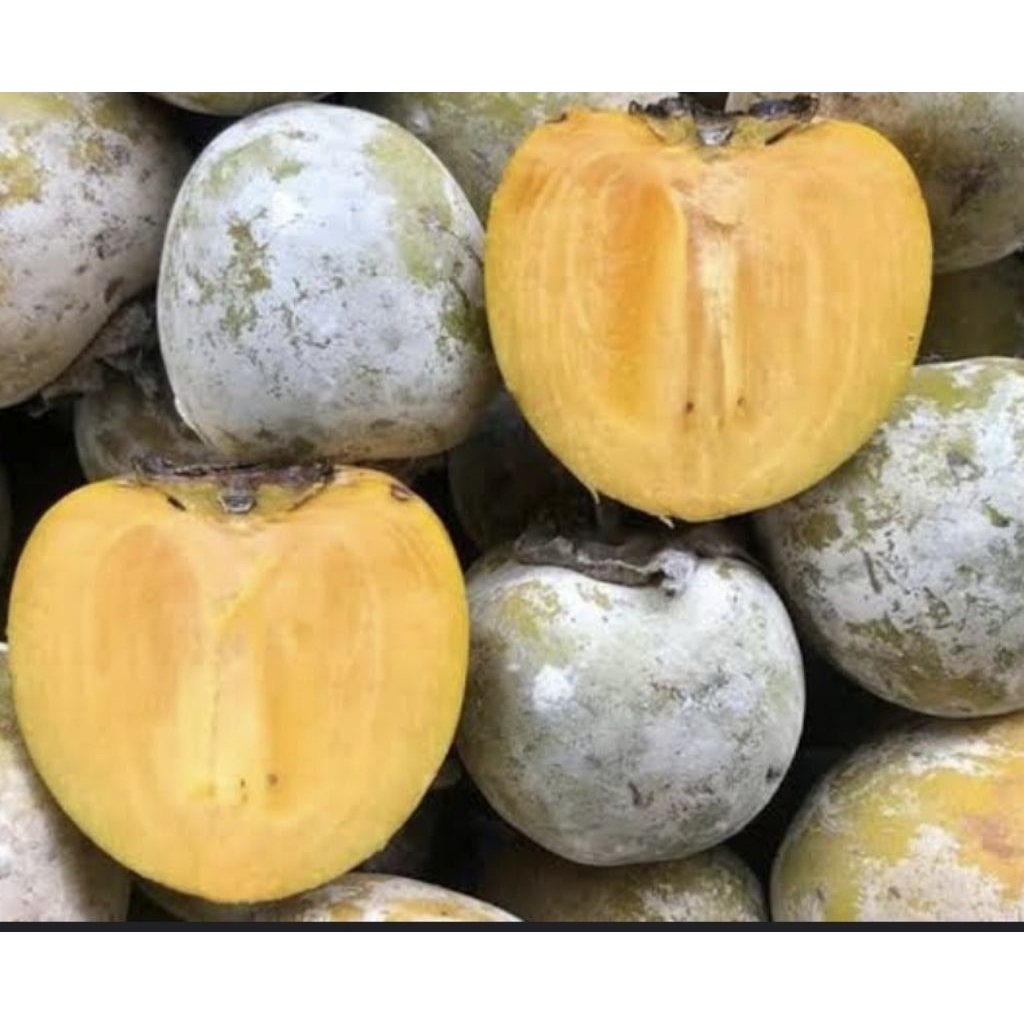 

Buah Kesemek Manis Segar 1 kg