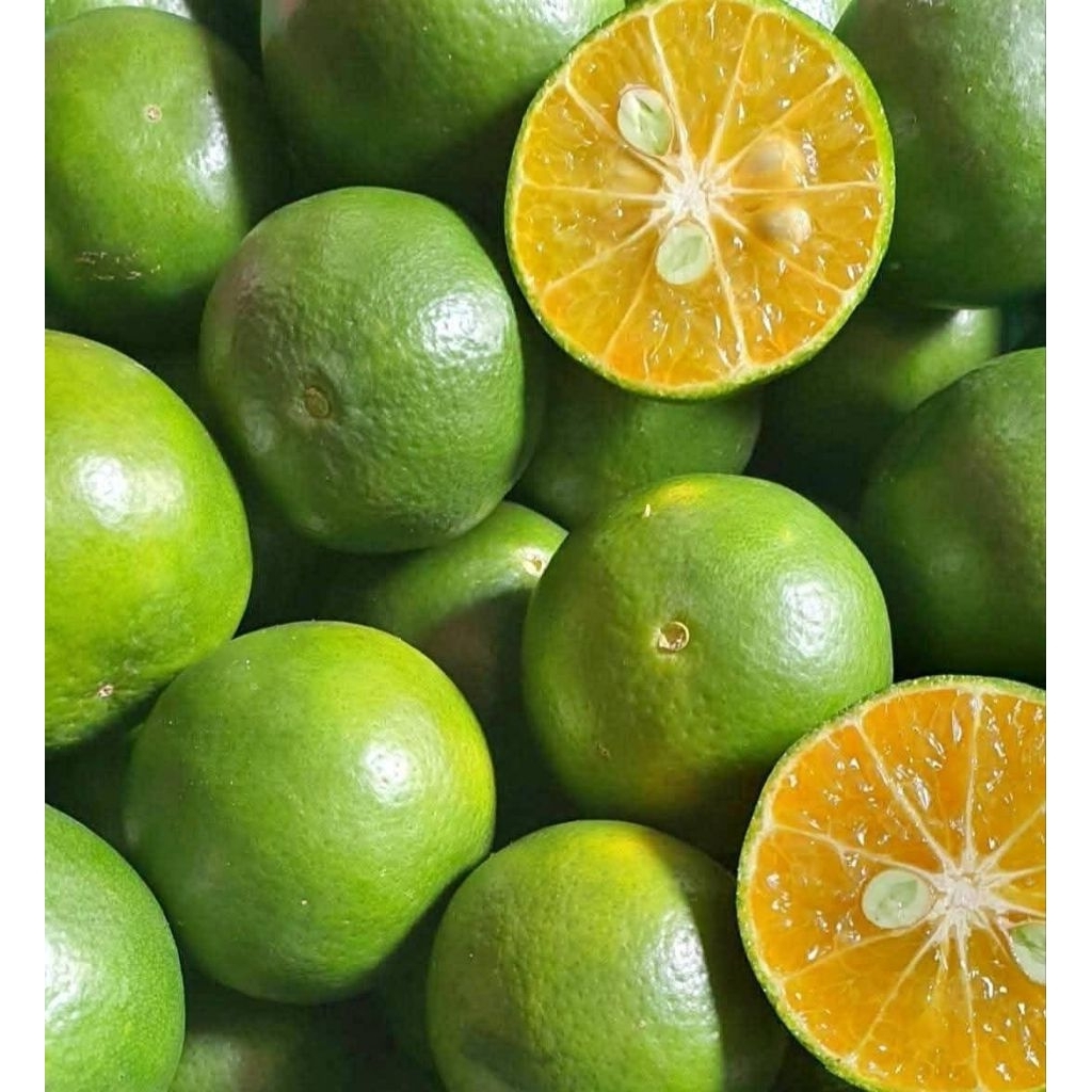 

1kg JERUK PERAS FRESH PANEN SENDIRI