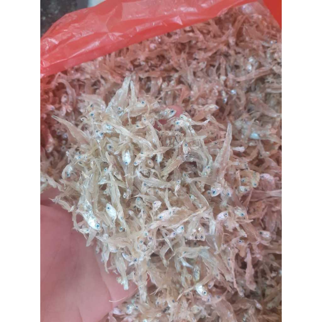 

Ikan teri nasi gurih enak cuma 5 rb Perbungkus