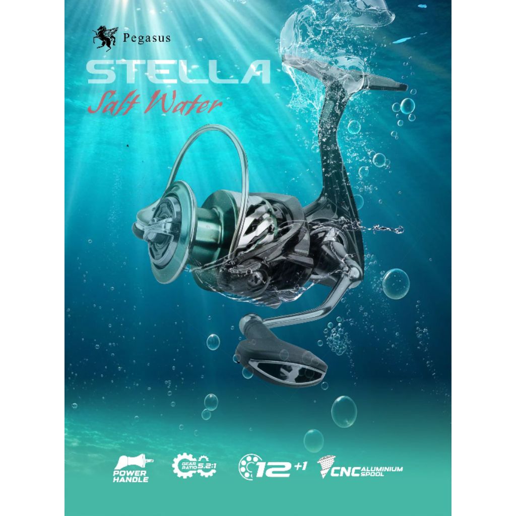 reel stella 2000sw