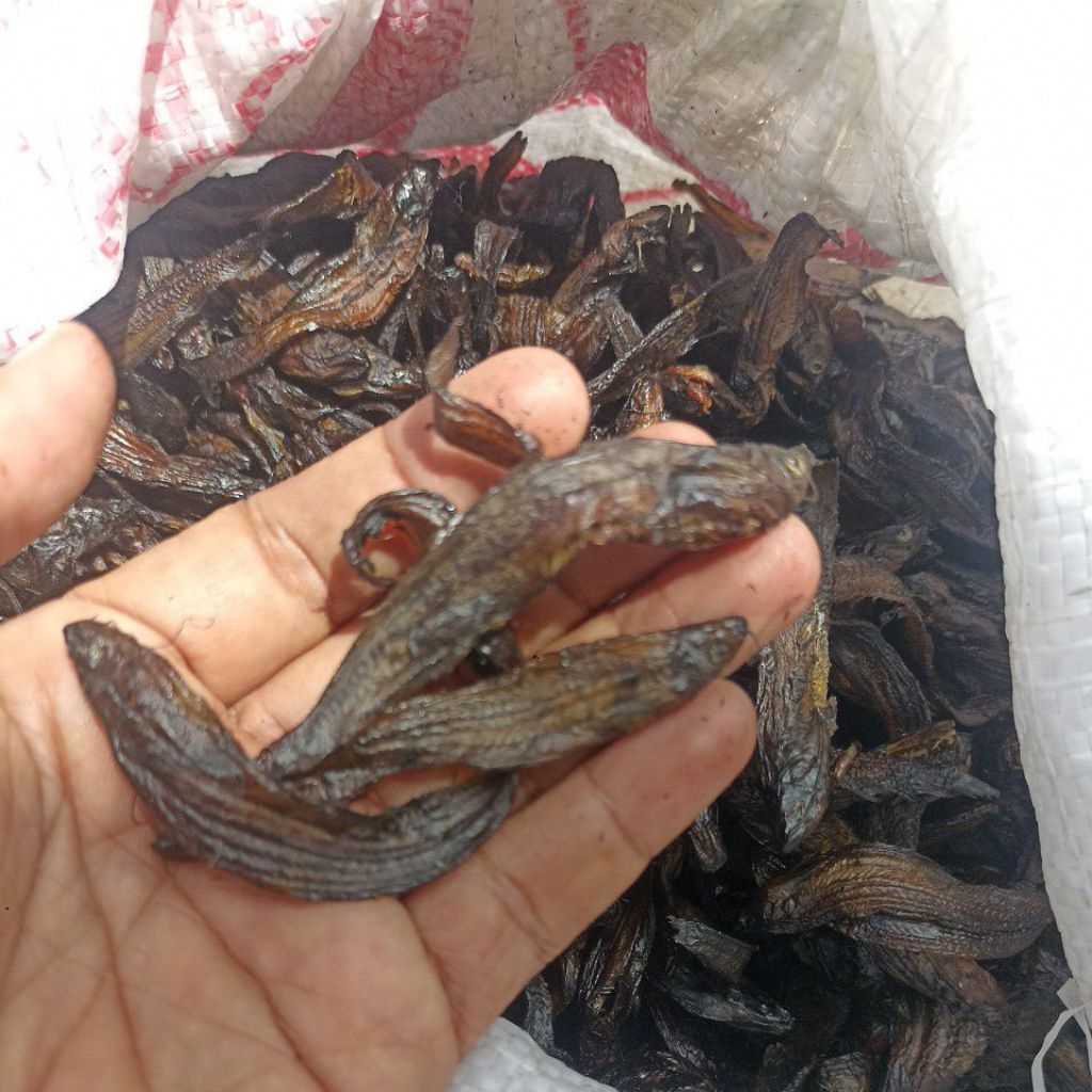 ikan asap Salai lais ciok