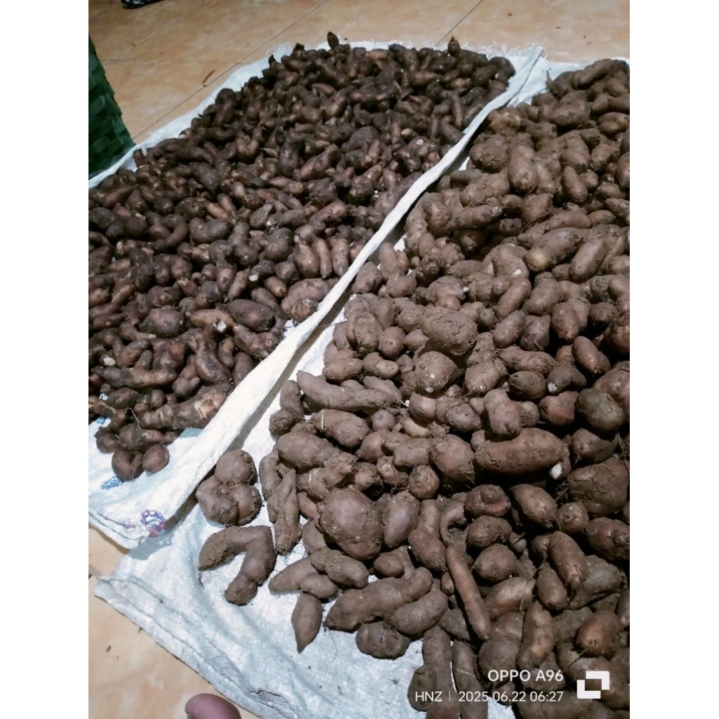 

kentang item asli dari petani ya 1 kg