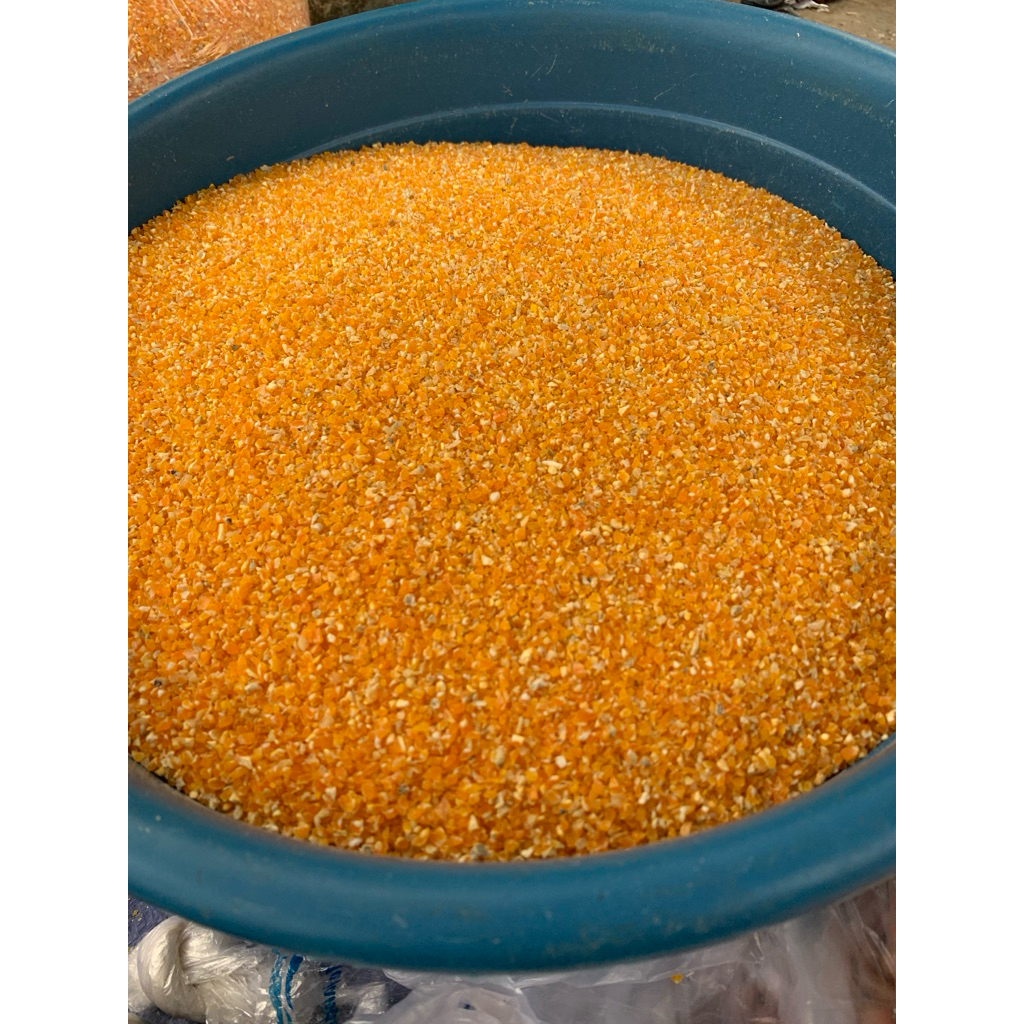 

Beras Jagung 1 kg, bisa di jadikan nasi cocok untuk penderita dianetes, kencing manis dan diet, cocok juga buat pakan burung, pakan ayam .