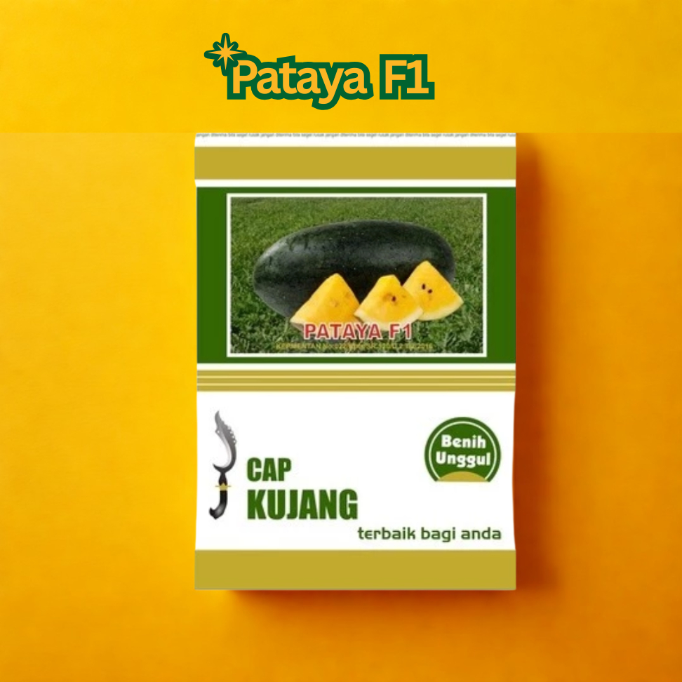 Benih Semangka Inul Kuning PATAYA F1 CAP KUJANG ±500 Biji (20gr) Asli, Tahan Virus & Produktif