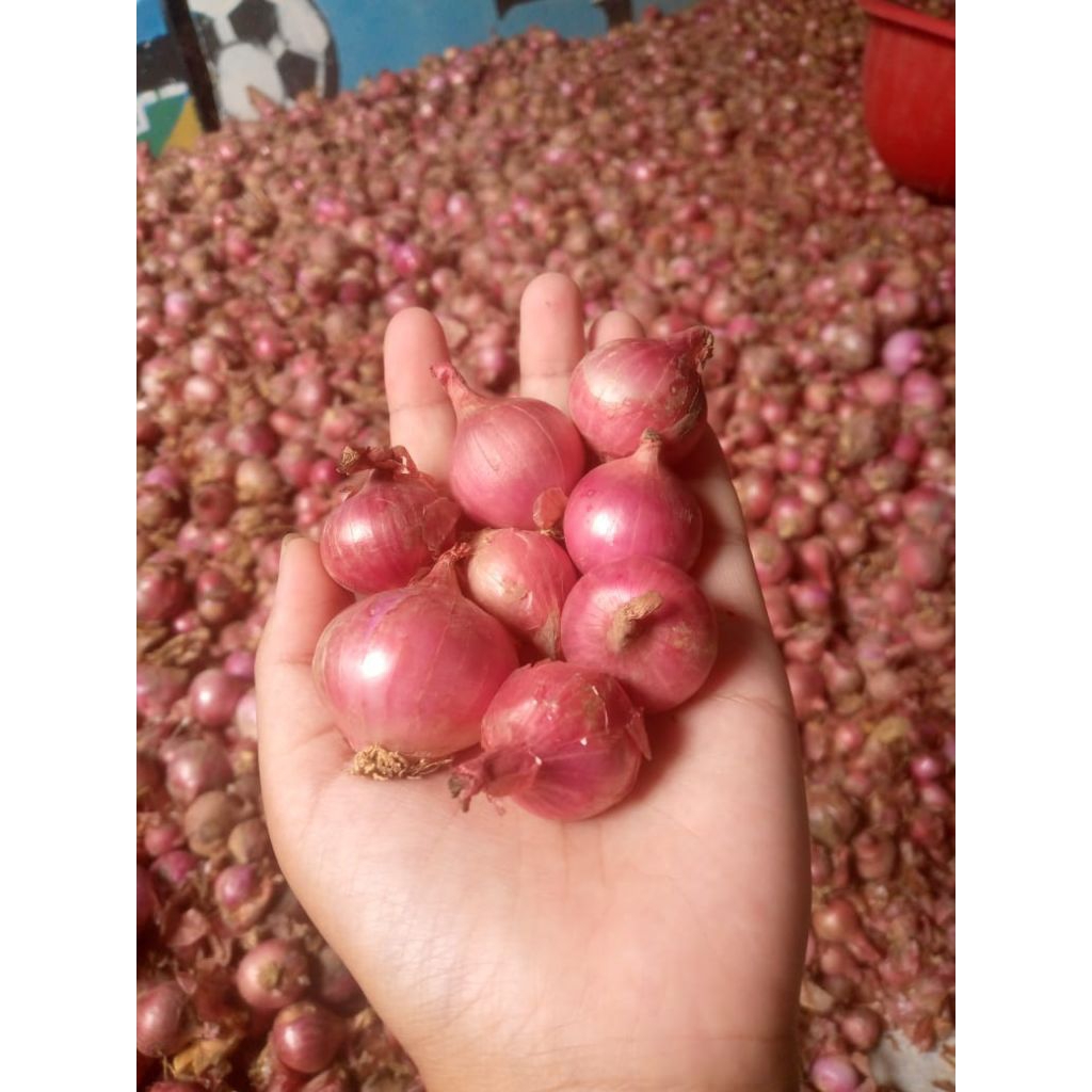 

bawang merah 1kg jumbo